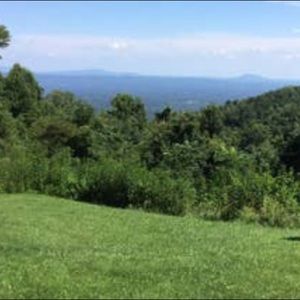 Meet your Posher, Saeed